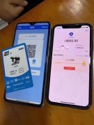 如何避免微信，支付宝花呗，京东白条风控