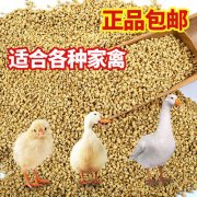 用小鸡养卡提额(信用卡养卡提额技巧)
