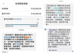 银行信用卡怎么养卡提额
